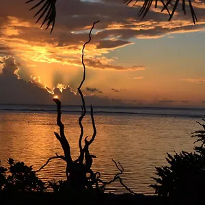 https://la-maison-dartiste-du-bord-de-mer.frenchpolynesia-hotels.com